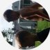 Gavin Dillon (@gavin_dillon02) Twitter profile photo Gavin Dillon (@gavin_dillon02) Twitter profile photo