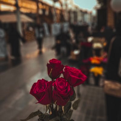 ahbkamotfek's profile picture. .