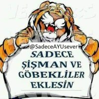 ✩ ♛ Sadece Şişman Tombul Ayı gibi Adam Severim ♛ ✩ (@sadeceayusever) 's Twitter Profile