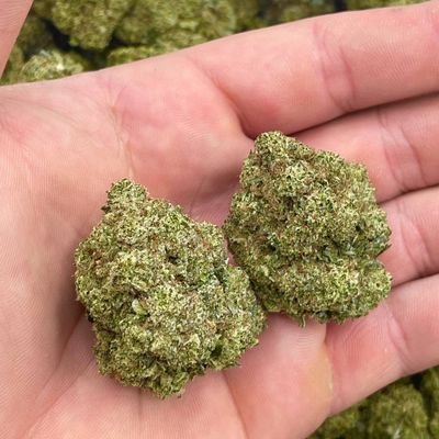 ILoveWe23675326's profile picture. https://t.co/Qm4dwLdiBi

WhatsApp+1(405)276-3061