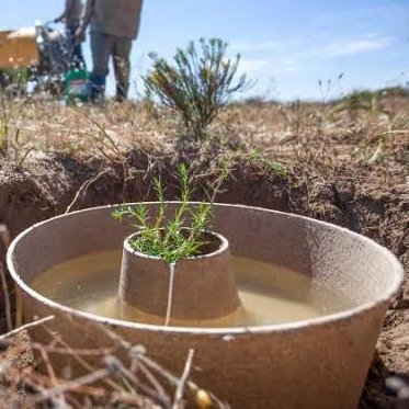 Support agricultural projects and farming practices which capture carbon from the atmosphere and allow farmers to earn income for fighting climate change.