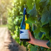 Robert Oatley Wines (@robertoatleyaus) 's Twitter Profile