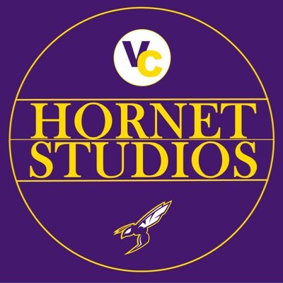 Hornet Studios