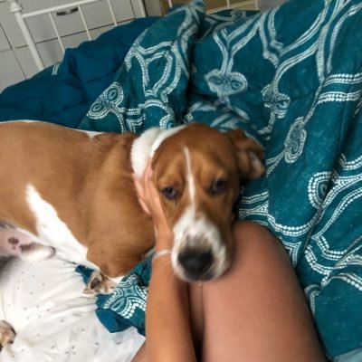 tmonstaZ's profile picture. crazy dog lady