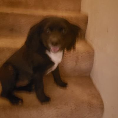 StageV567's profile picture. Hi