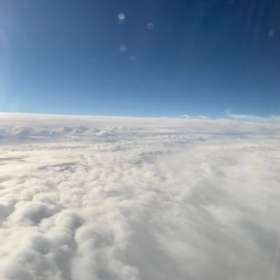 TZfvo's profile picture. 楽しく