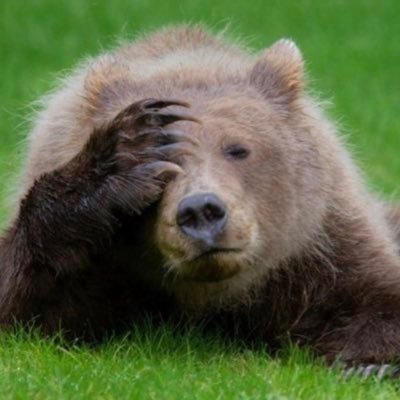 Gl1HFR2jZOGuoBB's profile picture. 저는 순수 구독계입니다 저는 순수 구독계입니다 저는 순수 구독계입니다 저는 순수 구독계입니다 저를 썰지말아주게