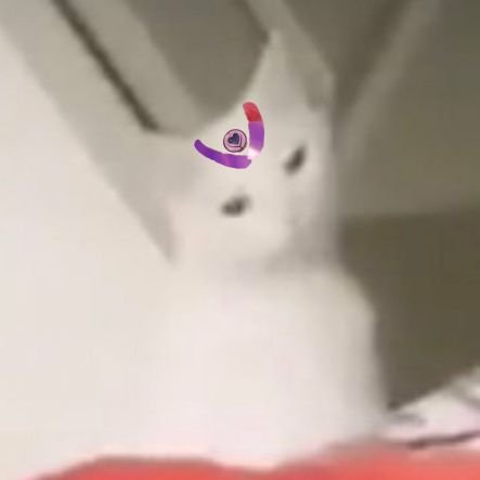 F1J1D0UCHEW4TER's profile picture. 