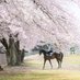 地方競馬教養センター (@nar_jockey) Twitter profile photo 地方競馬教養センター (@nar_jockey) Twitter profile photo