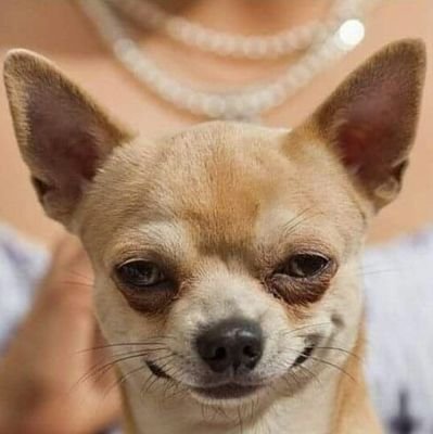 wrongera_kalyug's profile picture. Life hits different when you start giving yourself the same kind of love you've always given others.

आबकारी विभाग 😊