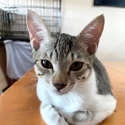 teinamama's profile picture. 