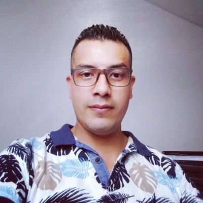 Ingeniero en Sistemas e Informática - Empleado Privado