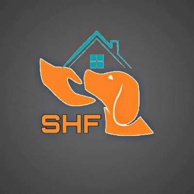 Safe Home Foundation (@SHF_DogsRescue) / Twitter