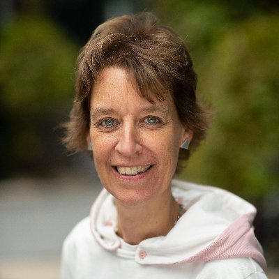 FHostens's profile picture. 