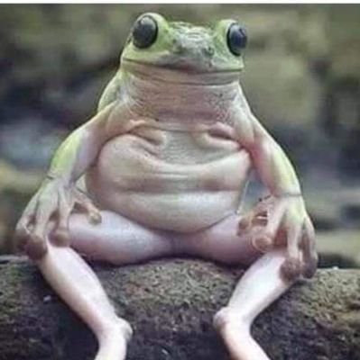 davidPosse13's profile picture. ...