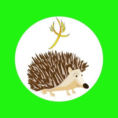 HcHedgehogs's profile picture. Hayfield Cross Hedgehogs 🦔