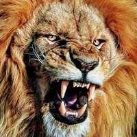 Simon PIEMA (@simonpiema2) 's Twitter Profile