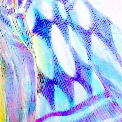 nicoさんのプロフィール画像