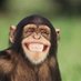 Wejustlaughing (@bellyholder) Twitter profile photo