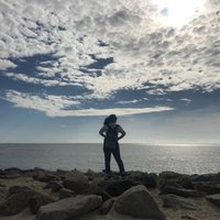 Samreen Wani (@shadowzanddust) 's Twitter Profile