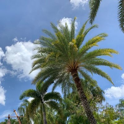 marlenejones44's profile picture. 