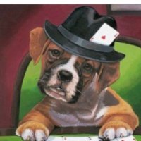 thedogcatcher+++++ (@thedogcatcher4) 's Twitter Profile