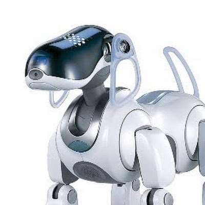 AIRobot11's profile picture. 