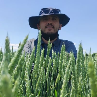 DagtekinZeyni's profile picture. R&D Engineer and Wheat Breeder
🌾🇹🇷
Student PhD Çü