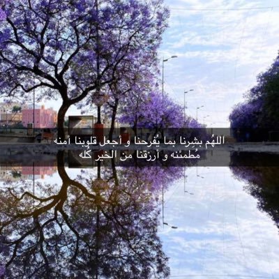 rman501's profile picture. هلابك