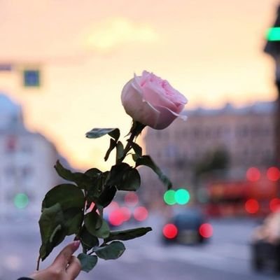 JfKIMyErAUUDEs1's profile picture. 