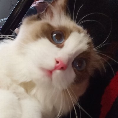 yang_zeyan's profile picture. I am a person who just enjoy the common life in the world.