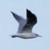 Yar (@volnographica) Twitter profile photo Yar (@volnographica) Twitter profile photo