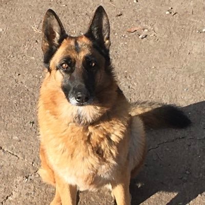 CNR_52's profile picture. 