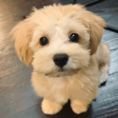 弧さんのプロフィール画像