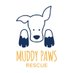 Muddy Paws Rescue (@muddypawsnyc) Twitter profile photo