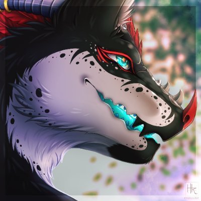 NilsinNKさんのプロフィール画像