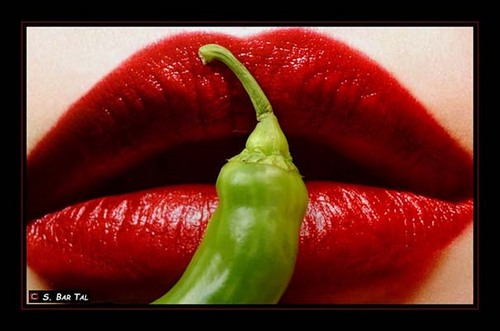 BrtlShalom's profile picture. 