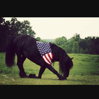 madamfreedom's profile picture. 