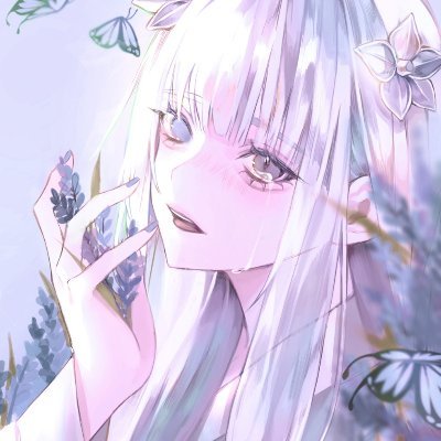 양말さんのプロフィール画像