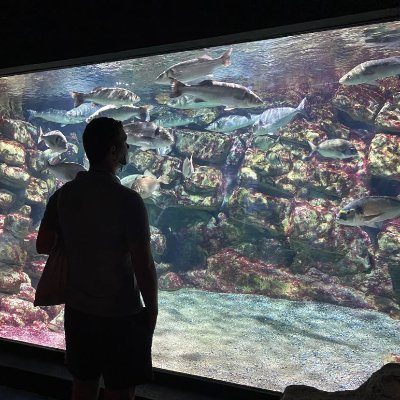 CardonVincent's profile picture. 
