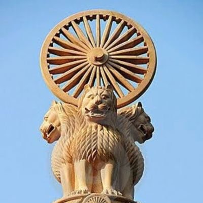 shamsraja501's profile picture. 