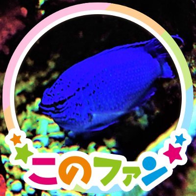 RURI19406671's profile picture. 今年から新社会人の海水魚屋さん。
カクヨムでも活動中の物書き見習い。
楽天ファン、横浜ファン。MY HEROは藤田一也コーチ。
アニメ好き、特にこのすば。
卓球では裏裏カットマン。
愛車は130系ヴィッツ。
SUPERGTは板東組、初音ミク応援。平良響選手推し。FDJはあかでみっくとガレドリ応援。