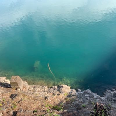 CmMnRuRe's profile picture. 鬱病患者