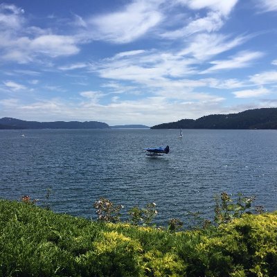 elena_febrel's profile picture. 