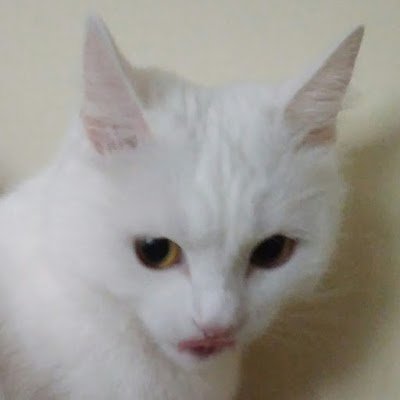 Arrom Deeさんのプロフィール画像