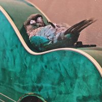 Pom (@horoandshana) 's Twitter Profile