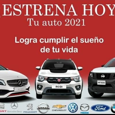 Perfil dedicado a las ventas de automóviles