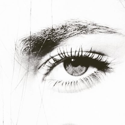 ALWALIDKS's profile picture. 