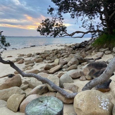 charliebarnes06's profile picture. 