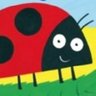 FPS_R_Ladybirds's profile picture. Twitter account for Miss Redhead, Miss Barton and The Ladybirds of Fairfield Primary School, Widnes